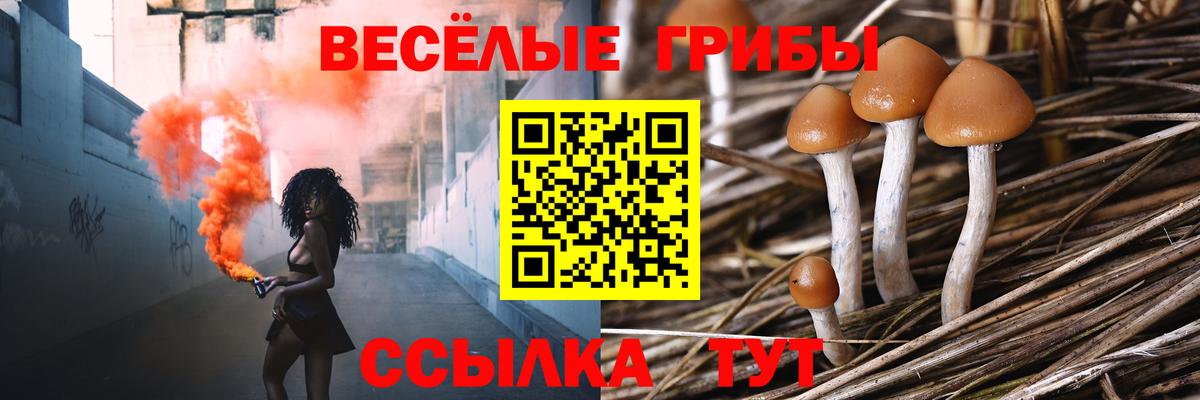 Галлюциногенные грибы Magic Shrooms  Вход с VPN  Галлюциногенные грибы Cubensis  Фрязино 